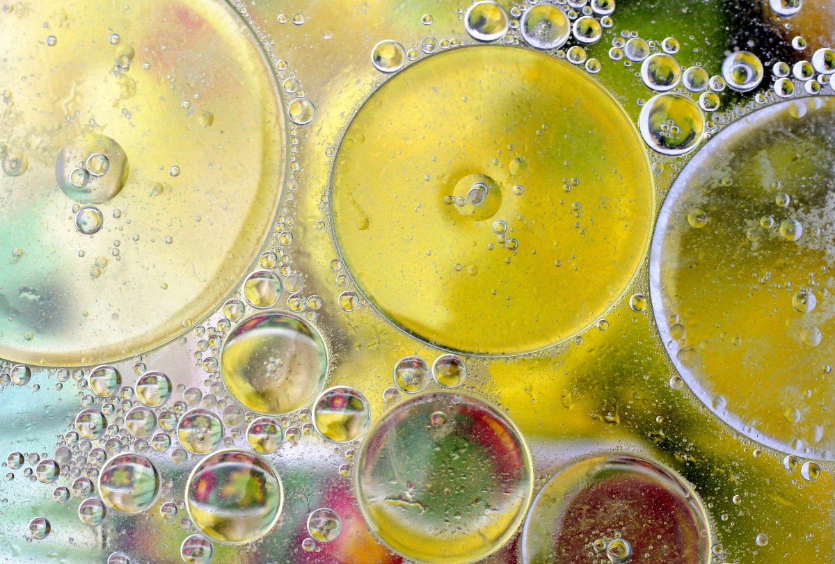 Microbiota Clínica: Diagnóstico, Disbiosis y Protocolos de Restauración Intestinal